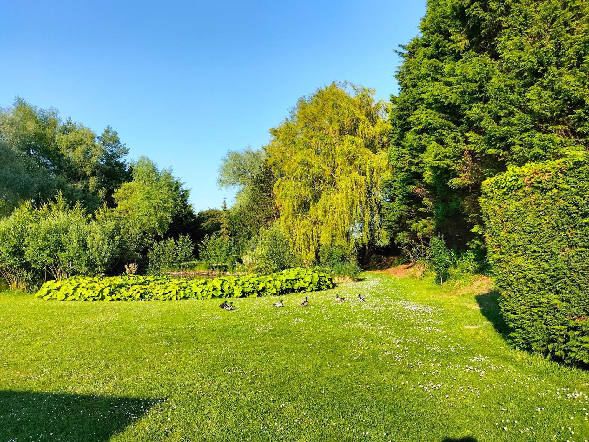 베르통 La Mouillere B&B 외부 사진
